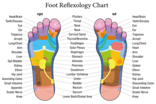 This Is How Reflexology Can Boost Fertility foot reflexology chart
